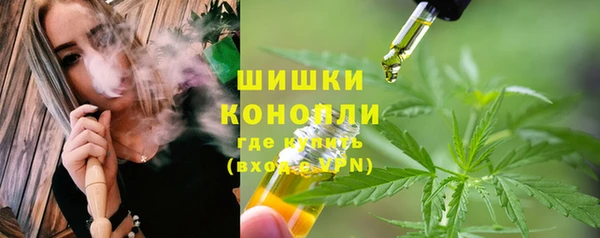 МДПВ Козловка