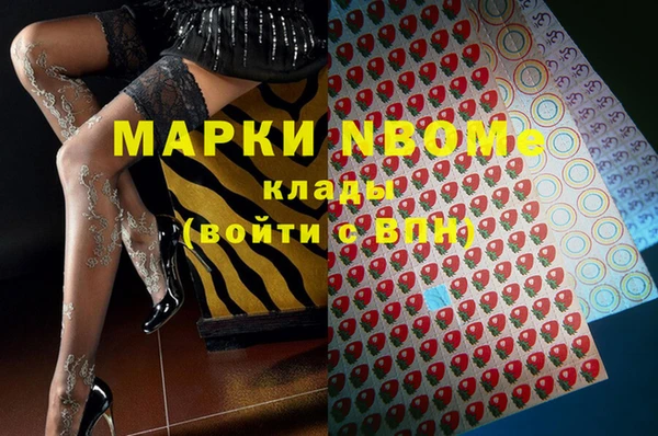 стафф Кинешма