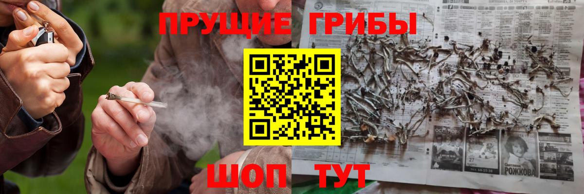 Псилоцибиновые грибы ЛСД  Вход с VPN  Сургут  Псилоцибиновые грибы мицелий 