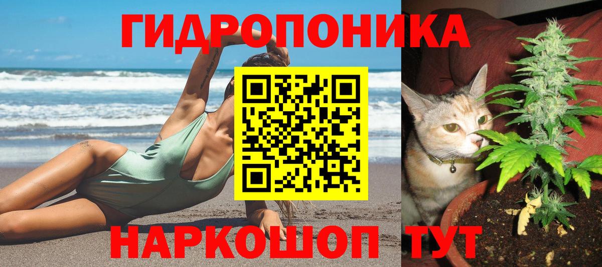 Сургут  Каннабис Amnesia  Каннабис сатива  Вход с VPN  Бошки Шишки конопля 